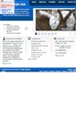 Mobile Screenshot of anxinusa.com